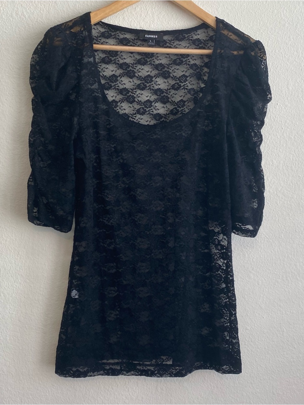 Black Floral Lace Sheer Long Sleeve Top Puff Sleeves Whimsigoth Witchy Romantic